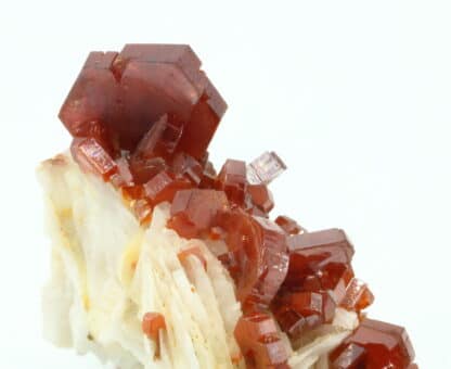 Cristaux de Vanadinite sur baryte, district de Mibladen, Maroc.