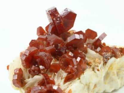 Cristaux de Vanadinite sur baryte, district de Mibladen, Maroc.