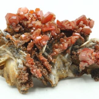 Vanadinite sur baryte, district de Mibladen, Maroc.