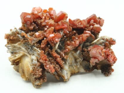 Vanadinite sur baryte, district de Mibladen, Maroc.