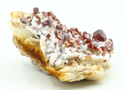 Vanadinite et gypse sur baryte, Mibladen, Maroc.