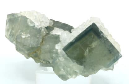 Fluorite et quartz, Le Burg, près d’Alban dans le Tarn.