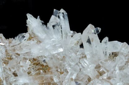 Quartz à habitus du Dauphiné, Calanda, Grisons, Suisse.