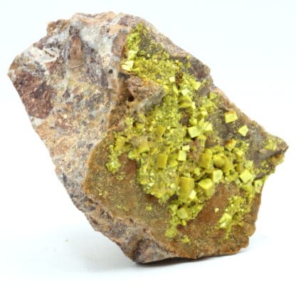 Autunite, Les Oudots, Marly-sous-Issy, Saône-et-Loire, Morvan.