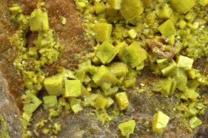 Autunite, Les Oudots, Marly-sous-Issy, Saône-et-Loire, Morvan.