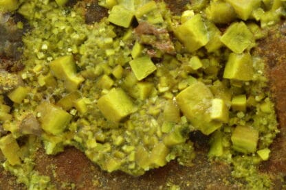 Autunite, Les Oudots, Marly-sous-Issy, Saône-et-Loire, Morvan.