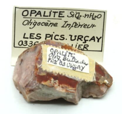 Opalite rose, (oligocène), Les Pics, Urçay, Allier, Auvergne.