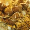 Wulfénite sur fluorite, l'Argentolle, Saône-et-Loire, Morvan.