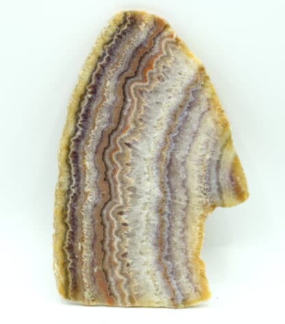 Tranche de calcédoine (agate) polie, Châtelperron, Vichy, Allier.