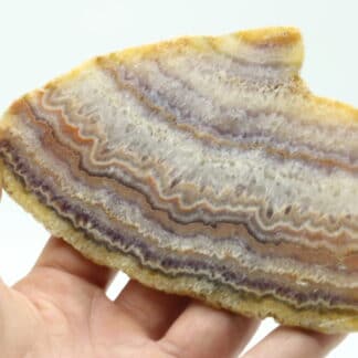 Tranche de calcédoine (agate) polie, Châtelperron, Vichy, Allier.