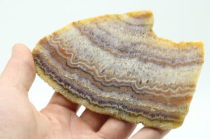 Tranche de calcédoine (agate) polie, Châtelperron, Vichy, Allier.