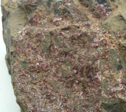 Erythrite, Hornésite, La Cena del Depósito, Almería, Andalousie, Espagne.