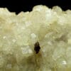 Pyrrhotine sur Fluorite incolore, mine de Fontsante, Tanneron, Var.