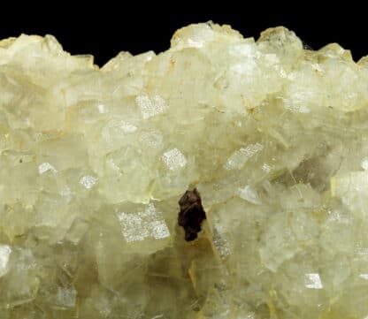 Pyrrhotine sur Fluorite incolore, mine de Fontsante, Tanneron, Var.