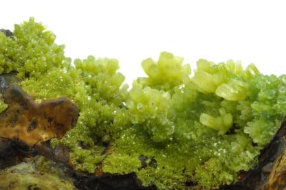 Cristaux de Pyromorphite provenant de Guilin, Guangxi, Chine.