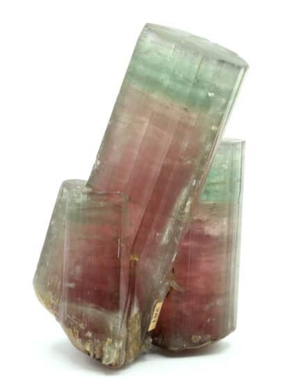 Tourmaline elbaite, Himalaya mine, San Diego, Californie, USA.