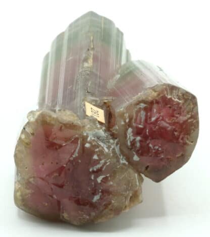 Tourmaline, Himalaya mine, San Diego, Californie, USA.