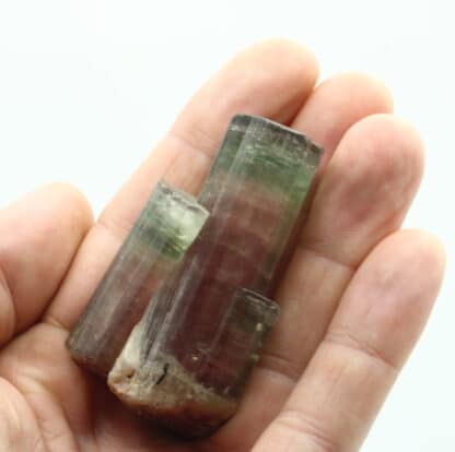 Tourmaline, Himalaya mine, San Diego, Californie, USA.