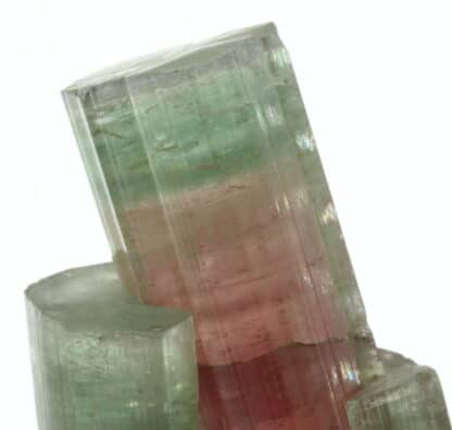 Tourmaline elbaite, Himalaya mine, San Diego, Californie, USA.