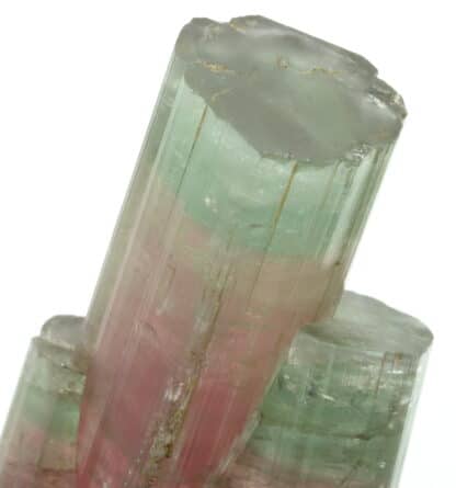 Tourmaline elbaite, Himalaya mine, San Diego, Californie, USA.