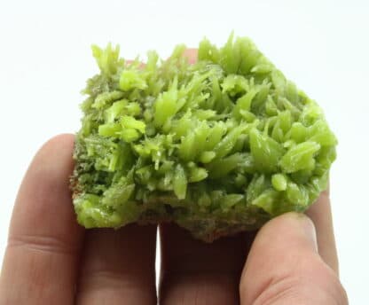 Pyromorphite de Daoping Mine, Guilin, Guangxi, Chine.