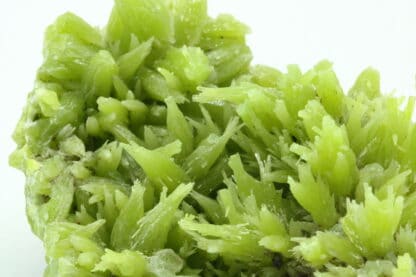 Pyromorphite de Daoping Mine, Guilin, Guangxi, Chine.