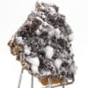 Gypse et calcite, région de Chihuahua, Mexique.