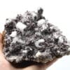 Gypse et calcite, région de Chihuahua, Mexique.