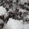 Gypse et calcite, région de Chihuahua, Mexique.
