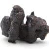 Goethite après marcassite, Désert Blanc, Oasis de Farafra, Égypte.