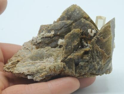 Sidérite et Quartz, Mines de Vaulnaveys, Belledonne, Isère.