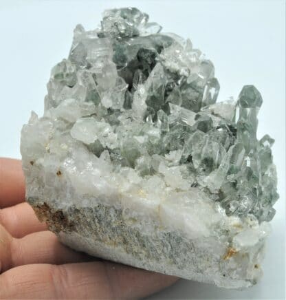 Quartz à fantômes de Chlorite, Les Deux-Alpes, Oisans, Isère.