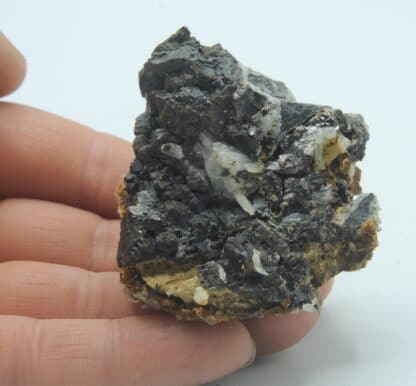 Sphalérite (Blende) et Quartz, Tunnel des Chavants, Les Houches, Haute-Savoie.