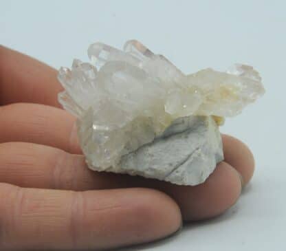 Quartz et baryte (Barytine), Le Lac Blanc, l’Alpe d’Huez, Oisans, Isère.