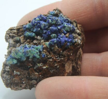 Azurite, Aurichalcite et Tétraédrite, Usclas du Bosc, Loiras, Hérault.