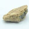 Pechblende, Rabejac, Le Puech, Lodève, Hérault.