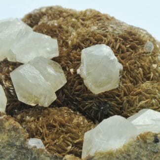 Calcite sur Sidérite, Carrière du Rivet, Peyrebrune, Tarn.