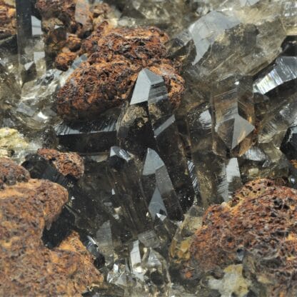 Quartz fumé et Sidérite, Val Strem, Grisons, Suisse.