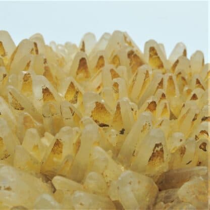 Calcite jaune, Charmes-sur-Rhône, Ardèche.