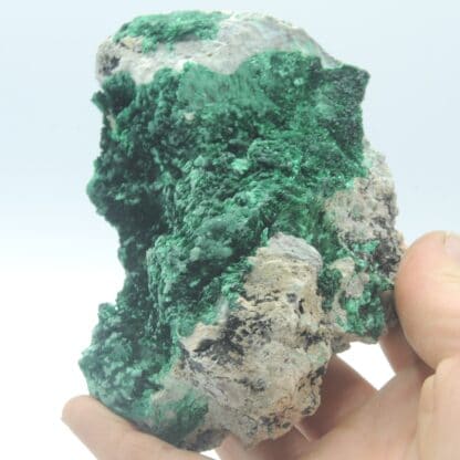 Malachite verte fibreuse, Katanga, Congo.