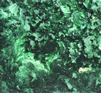 Malachite verte fibreuse, Katanga, Congo.