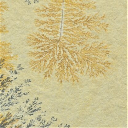 Dendrites de Manganèse, Carrière de Solhenhoffen, Allemagne.