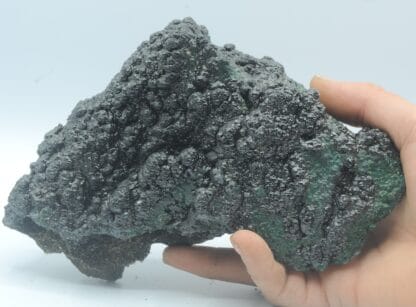 Heterogenite et Chrysocolle, Mine de l’Etoile du Congo, Haut-Katanga, Congo.