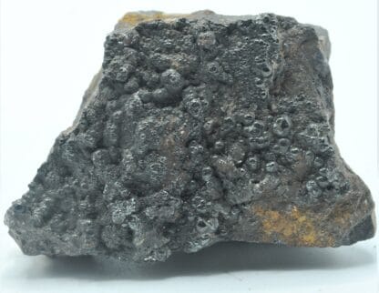 Goethite et Pisolite, Pic du Canigou, Pyrénées-Orientales.