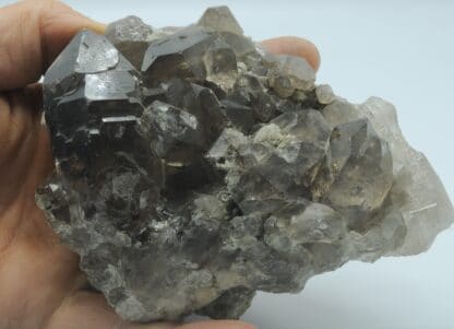 Quartz fumé, Chamonix, Massif du Mont-Blanc, Haute-Savoie.