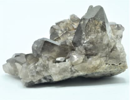 Quartz fumé, Chamonix, Massif du Mont-Blanc, Haute-Savoie.