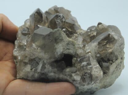 Quartz fumé, Chamonix, Massif du Mont-Blanc, Haute-Savoie.