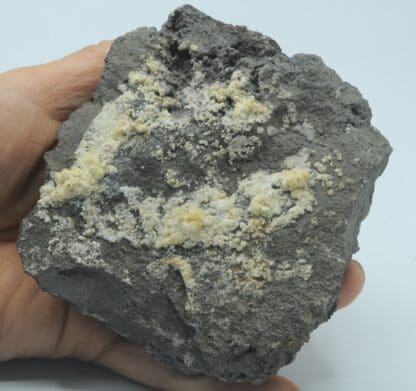 Opale hyalite fiorite, Puy de Gravenoire, Royat, Puy-de-Dôme, Auvergne.