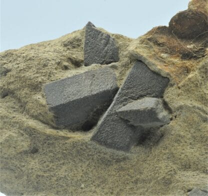 Staurotide (Staurolite), Coray – Scaër, Finistère, Bretagne.