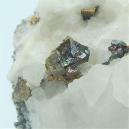 Chalcopyrite cristallisée, Carrière de Cuzac, Lot.